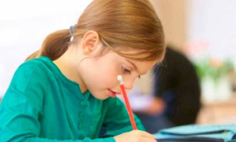Elaboran manual para educación tecnológica en zonas rurales
