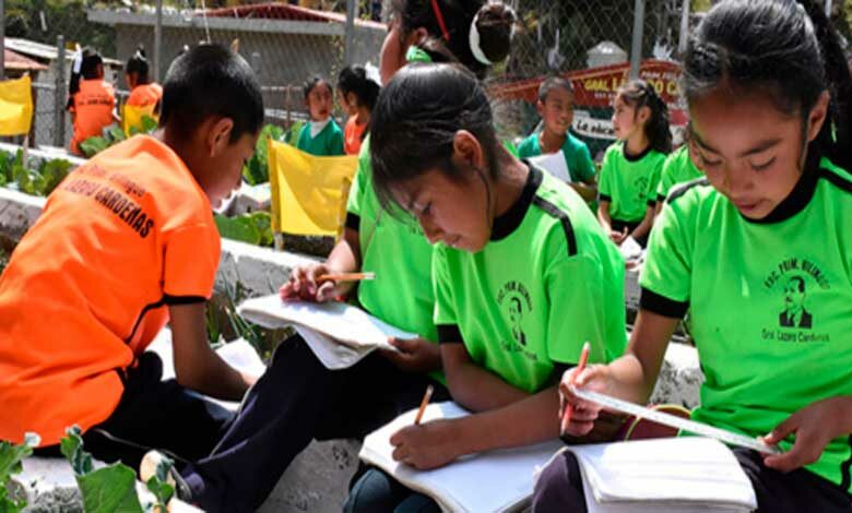 Desde el aula y el huerto reducen las escuelas el sobrepeso y la obesidad