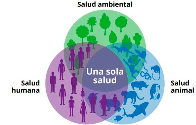 Planeta y salud humana, interconectados