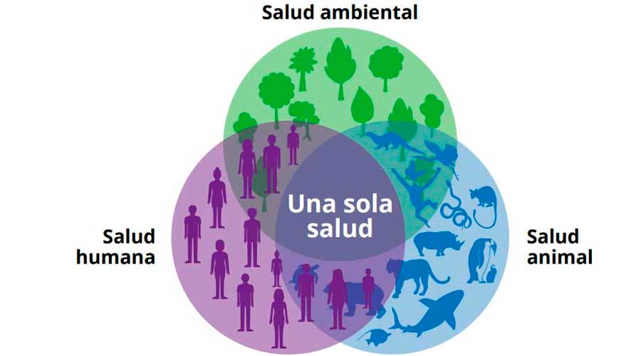 Planeta y salud humana, interconectados