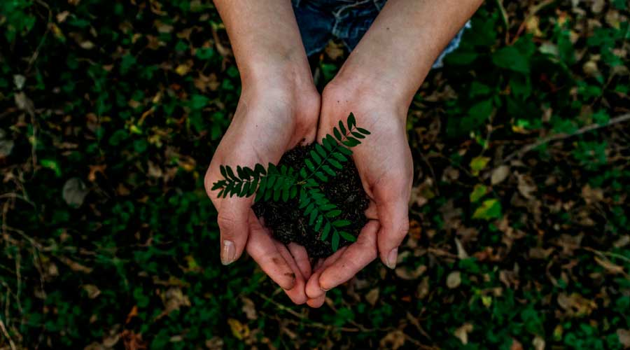 Tu papel en el mundo, consejos para cuidar del medio ambiente