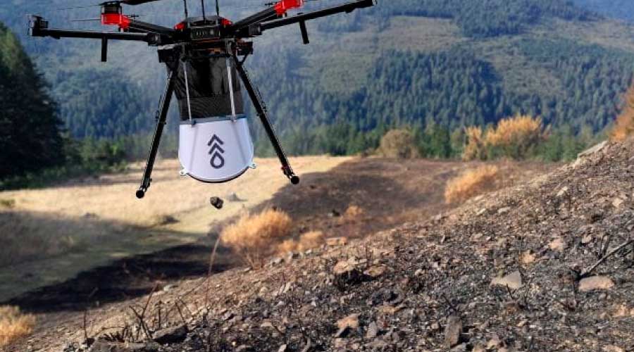Estos drones son el ‘arma secreta’ contra la deforestación del planeta