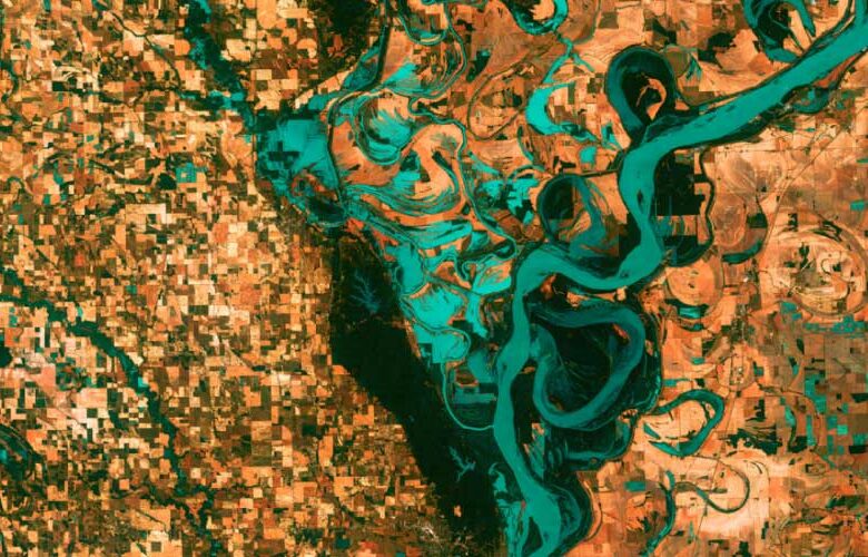 ¿Hay relación entre el medio ambiente y la Covid-19?