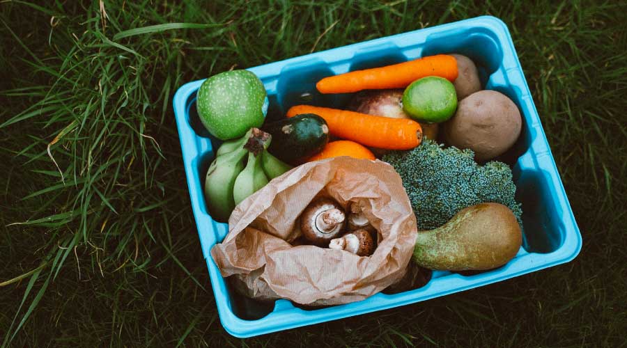 5 razones para quitar el césped y hacer un huerto