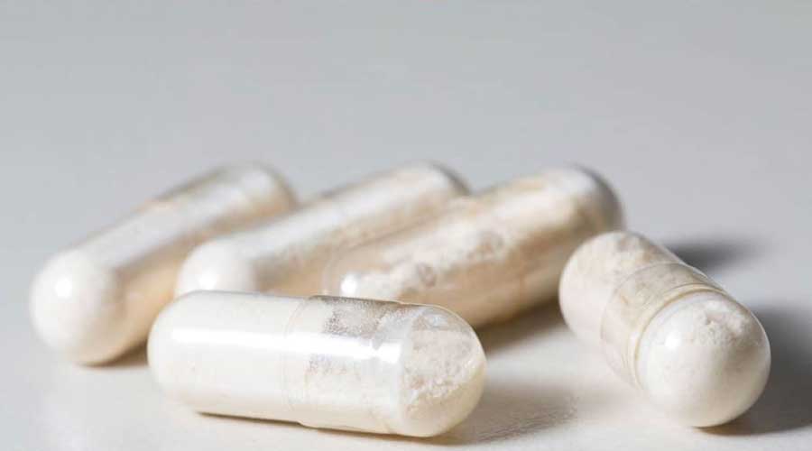 Probióticos, las bacterias buenas para tu cuerpo