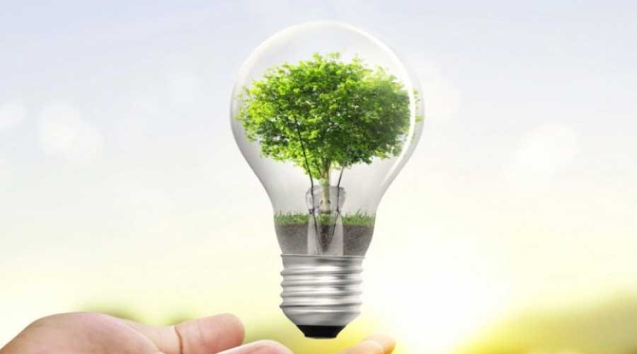 ¿Por qué es importante ahorrar energía? ¿Cómo hacerlo?