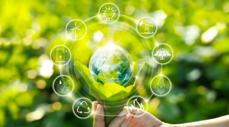 Qué son los recursos naturales y para qué sirven