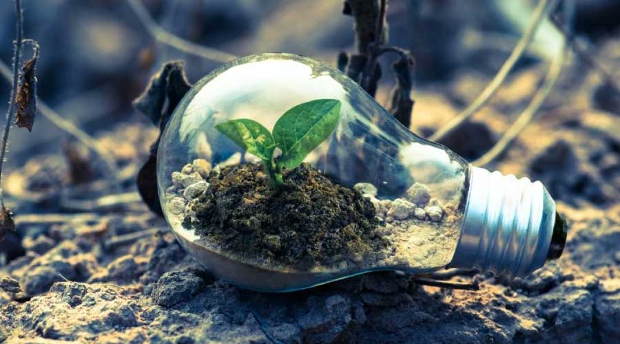 Cuida del medio ambiente con ayuda de estas tecnologías