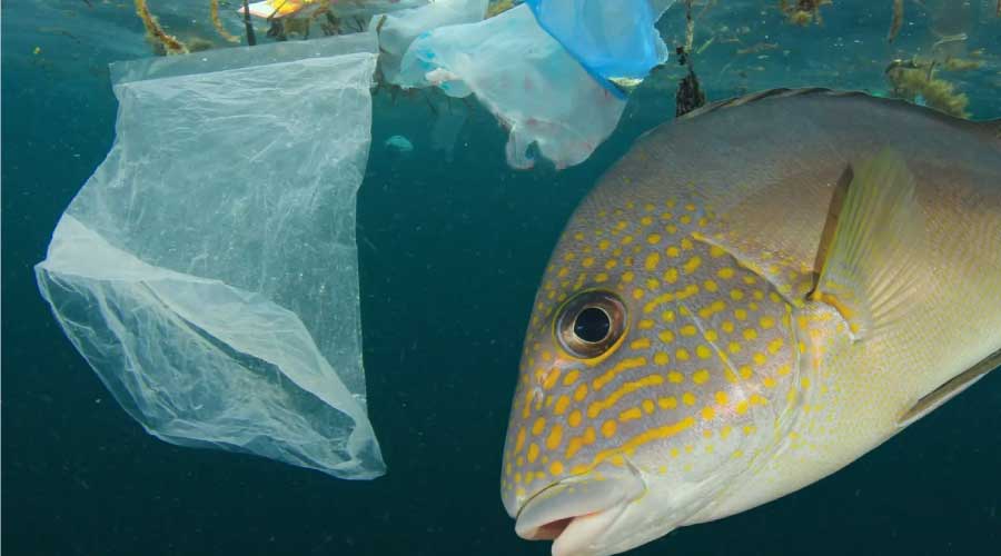 ¿Por qué es necesario medir el impacto ambiental de la actividad humana?