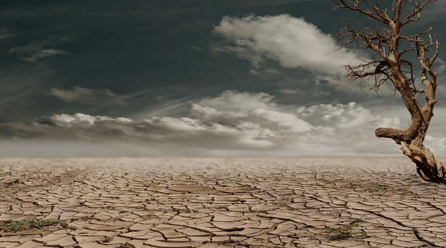 Efectos del cambio climático