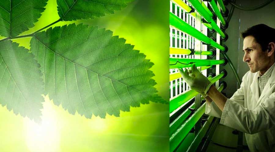5 inventos y avances que podrían revolucionar las renovables