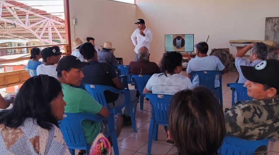 Capacitación para la producción de Jamaica a pequeños productores