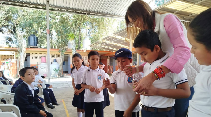 Grandes aliados en la Primaria Patria