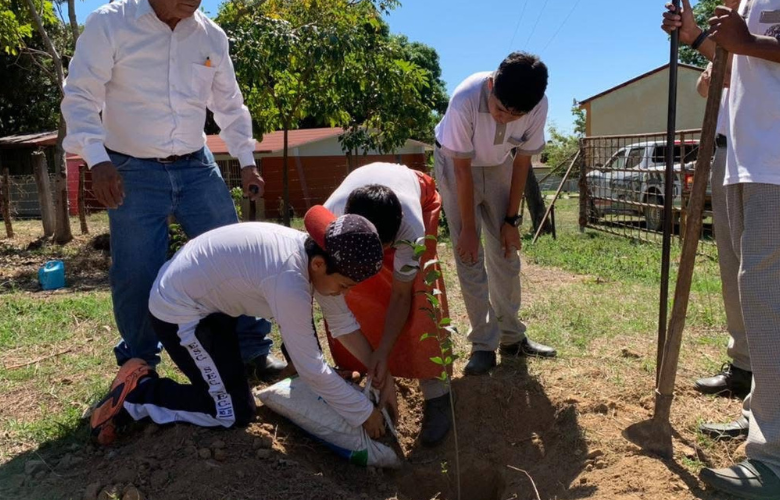 Acciones de reforestación en la secundaria No. 20