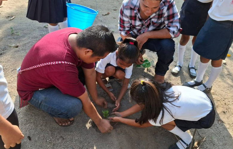Reforestan escuelas de Tututepec