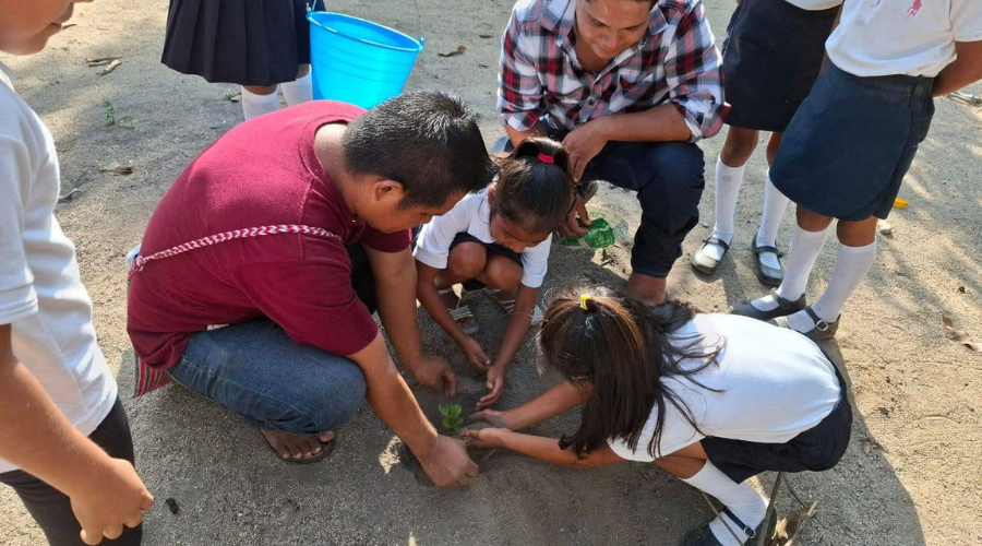 Reforestan escuelas de Tututepec