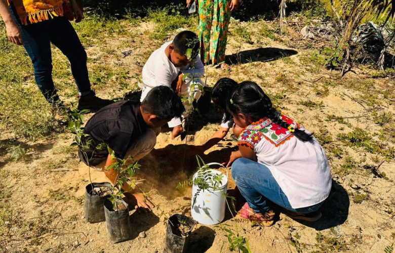Reforestan primaria bilingüe de Jamiltepec