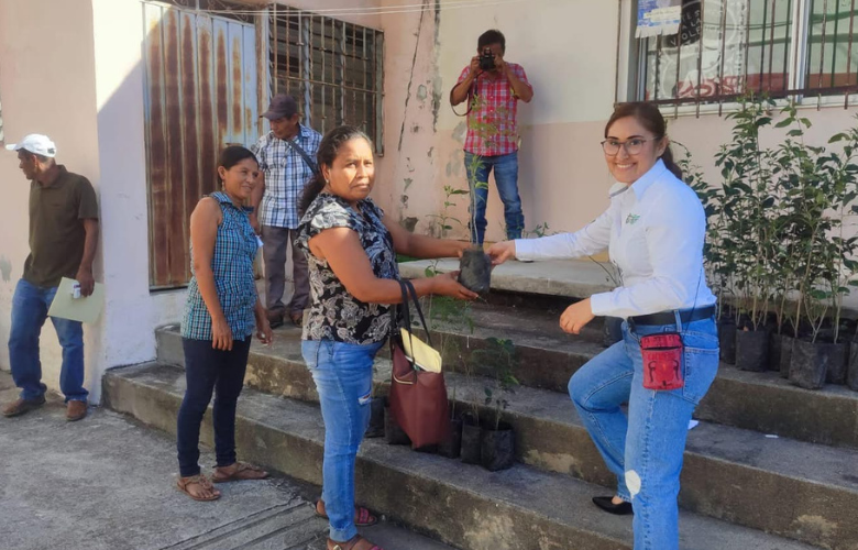 Entrega de árboles para jornadas de reforestación