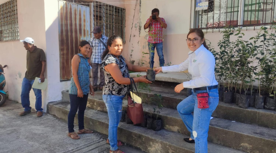 Entrega de árboles para jornadas de reforestación