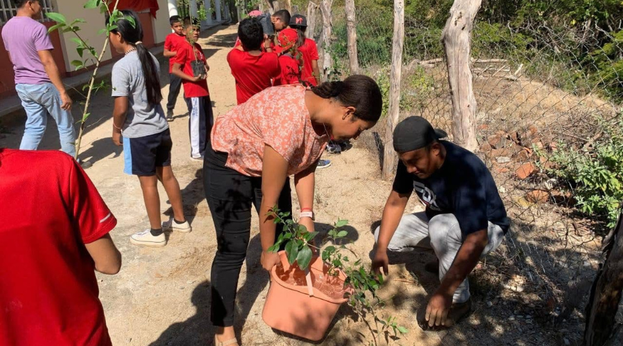 Jornadas de reforestación en Tututepec