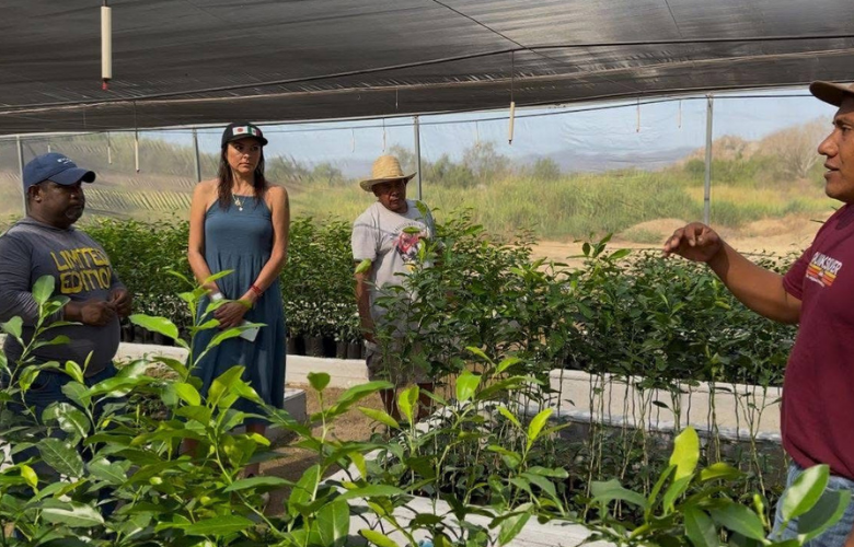 Se capacita personal de vivieron en producción de limón